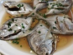 -阿莉餐厅(枣阳路店)