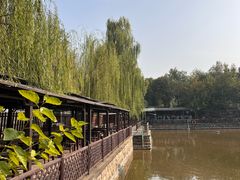 -尚庄度假村·庭台树下·户外烧烤·团建CS·轰趴营地(上庄水库店)