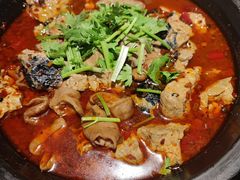 -永安水煮活鱼·仪征菜(仪征奥林匹克店)
