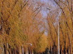 -艾溪湖湿地公园