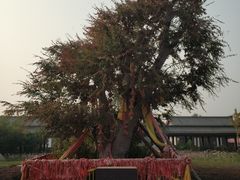 -西安汉城湖景区