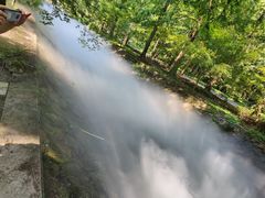 -东平国家森林公园