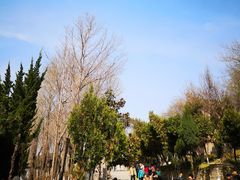 -西安关中民俗艺术博物院