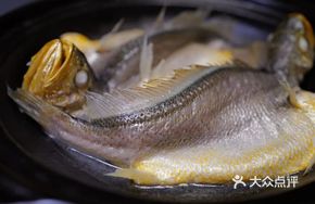 Fish Master's 100-Second Yellow Croaker