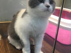 -乐宠宠物店(世纪金源店)