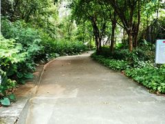-南岗山公园