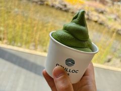 -雪绿茶博物馆