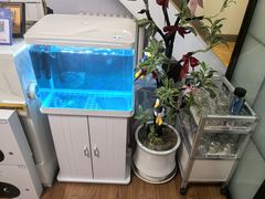 -呼家楼(地铁站)