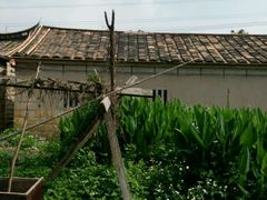 -蔡氏古民居建筑群