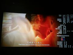 -AMG海上明珠影城(上海环球港RealDCinema店)