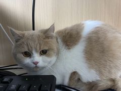 -谐和贝康宠物医院24小时·宠保定点(急重症转诊中心)