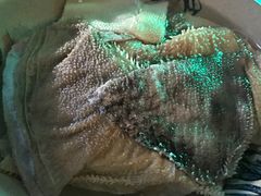 -茅草房·河畔园林火锅