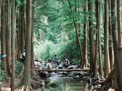 -马峦山郊野公园