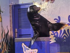 -太平洋海底世界