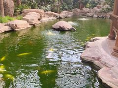 -龙达温泉生态城
