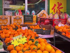 -钓鱼猫面(民心佳园店)