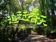 -峨眉山报国寺