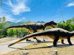 -百里山水画廊乌龙峡谷