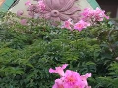 -天竺岩寺
