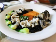 古法蒸龙胆鱼-樱苑(四川北路店)