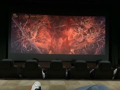 -天幕新彩云国际影城(激光巨幕店)