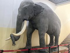 -国家自然博物馆