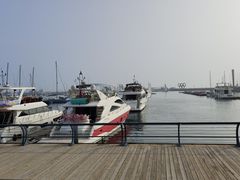 -青岛奥林匹克帆船中心