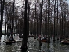 -渌洋湖湿地公园