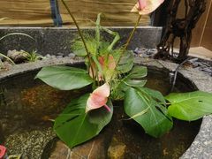 -南堂馆·新川菜(天府三街店)