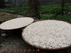 -祁门牯牛降观音堂风景区