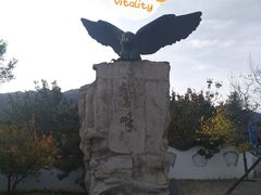 -北京鹫峰国家森林公园