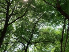 -北京西山国家森林公园