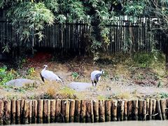 -上海野生动物园