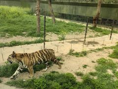 -上海野生动物园