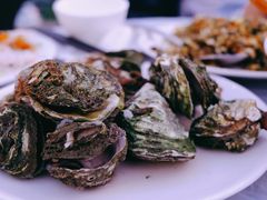 干蒸原味生蚝-南蚝小贝海鲜特色餐厅(南澳岛店)