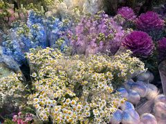 -循礼门鲜花花市(武汉循礼门店)