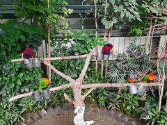 -南宫五洲植物乐园