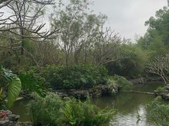-隐秀山居酒店大堂吧