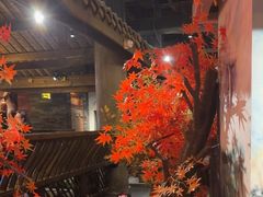 -蓉城老妈火锅(双林路店)