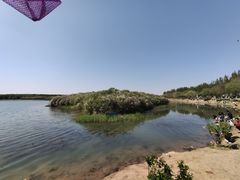 -丁香湖公园