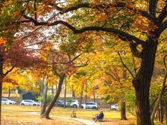 -八大关景区