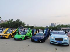 -枫花园汽车电影院(朝阳公园店)