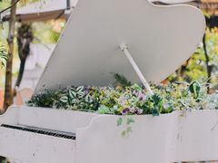 -陶缘一号·四季缘·老字号顺德菜·户外婚礼家宴(西滘店)