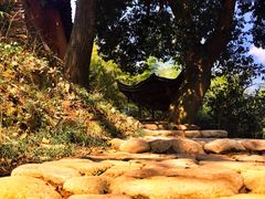 -杨家堂村
