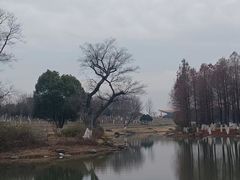 -滆湖低碳生态公园