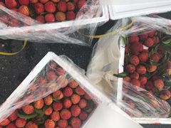-西郊国际农产品交易中心
