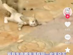 -昆明动物园