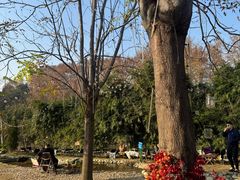 -HERRE·FARM 赫尔露营农场·团建聚会包场