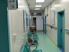 -北京观赏动物医院·24小时大型综合·猫专科·异宠专科