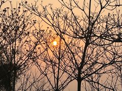 -火炉山森林公园